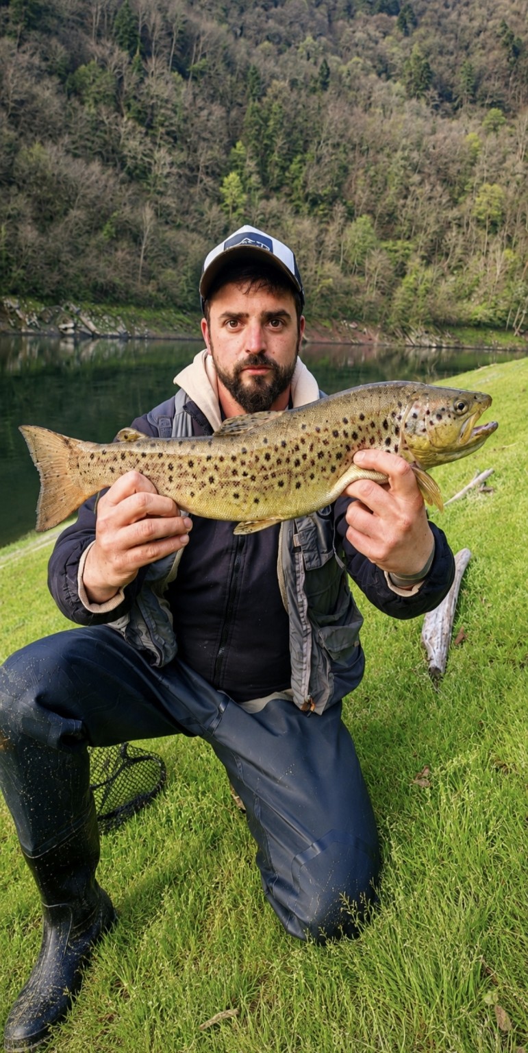 Captura de trucha Truchas Astur
