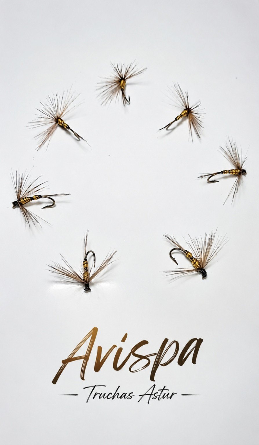 Mosca Avispa Truchas Astur