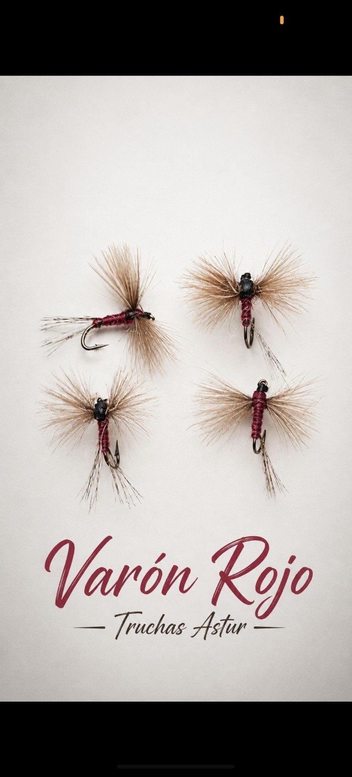 Mosca Varón Rojo Truchas Astur